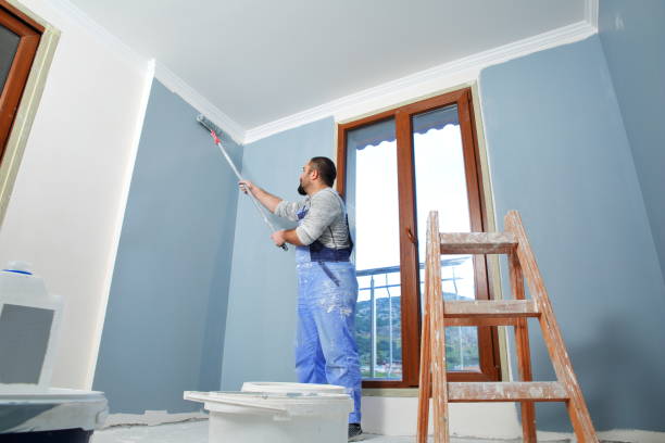 Best Black Mold Removal  in Everson, WA