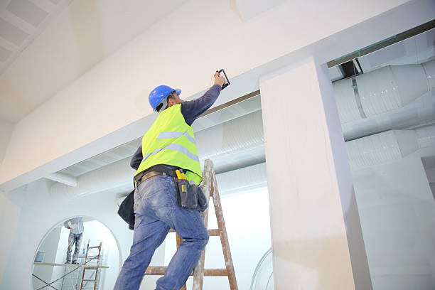 Best Attic Mold Removal  in Everson, WA