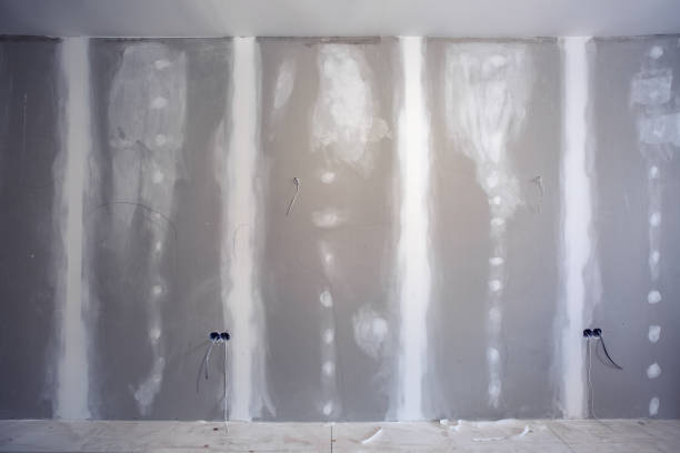 Best Forensic Mold Investigation  in Everson, WA
