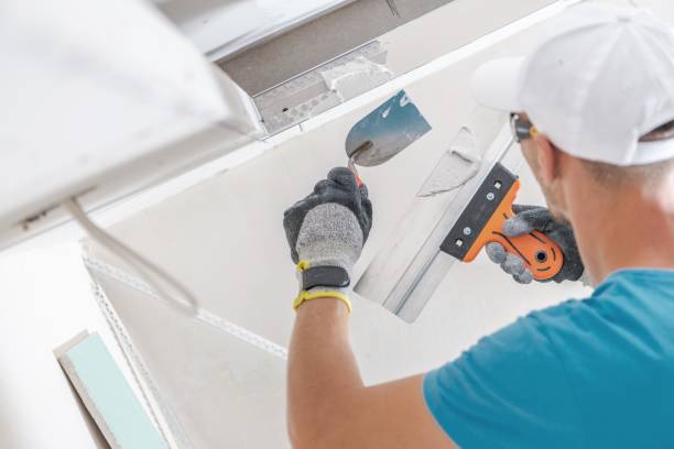 Best Mold Removal for HVAC Installations  in Everson, WA